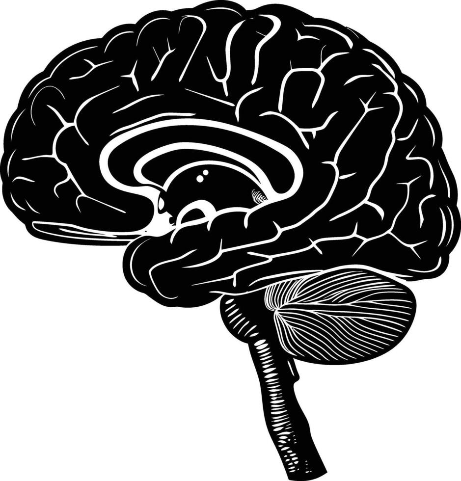 AI generated Silhouette for internal organs of the brain black color only vector