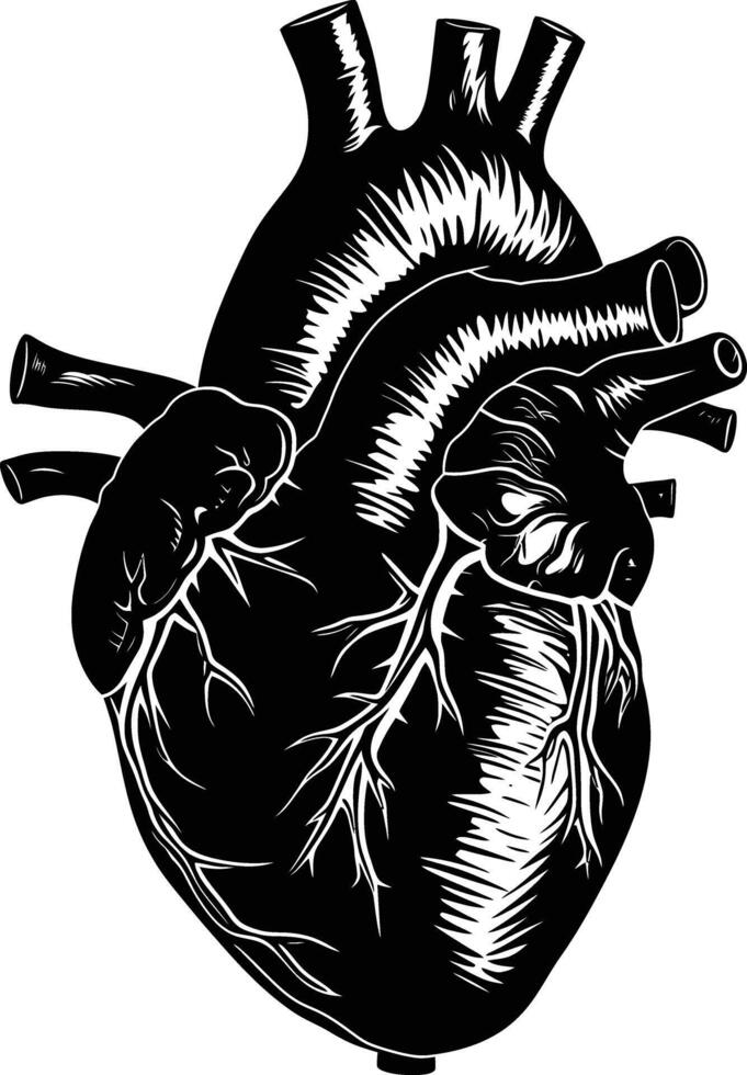 AI generated Silhouette for internal organs of the heart black color only vector
