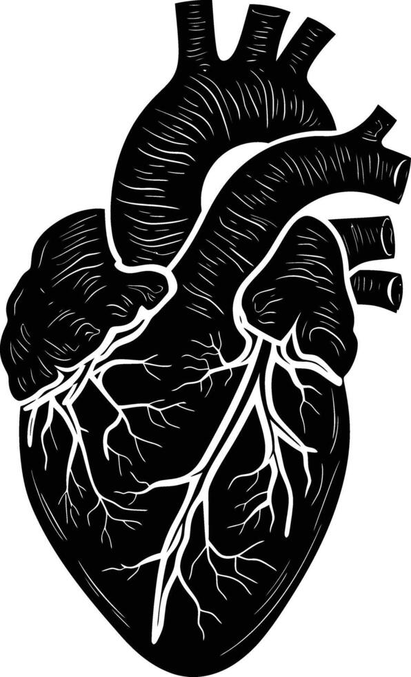 AI generated Silhouette for internal organs of the heart black color only vector