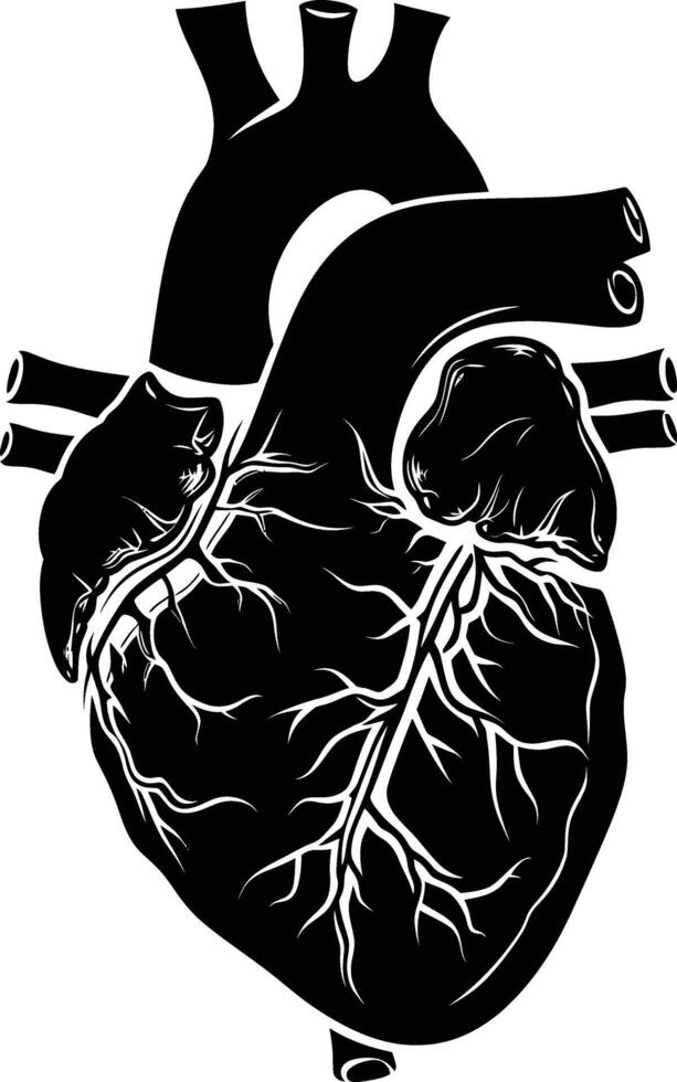 AI generated Silhouette for internal organs of the heart black color only vector