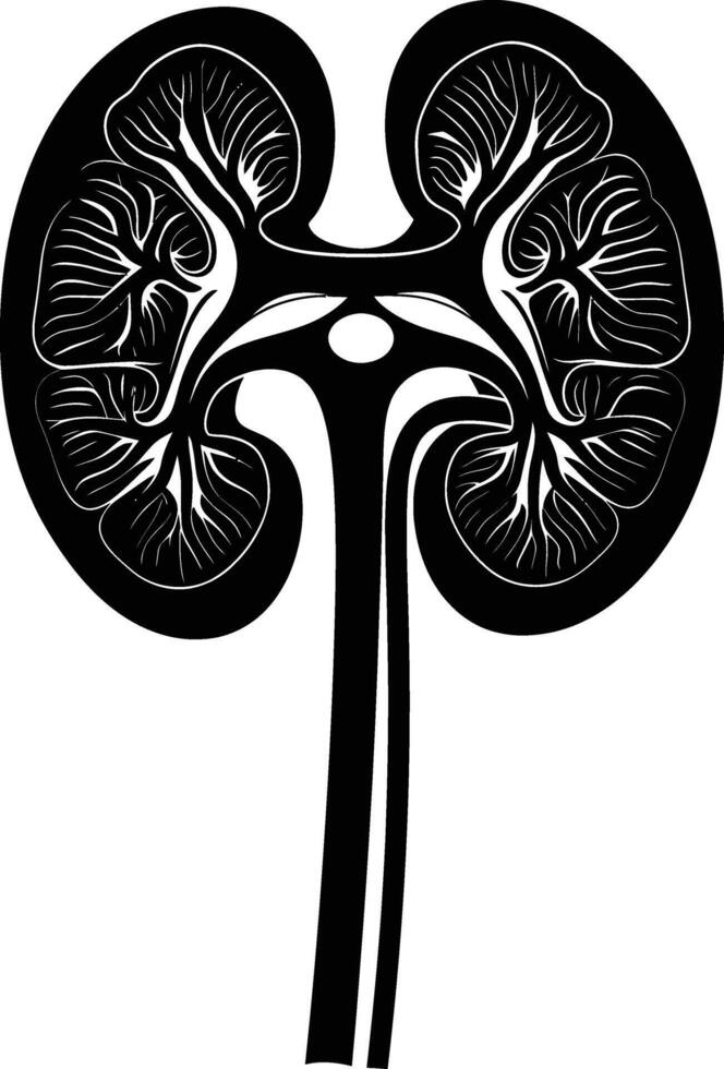 AI generated Silhouette for internal organs of the kidney black color only vector