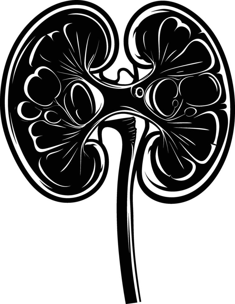 AI generated Silhouette for internal organs of the kidney black color only vector