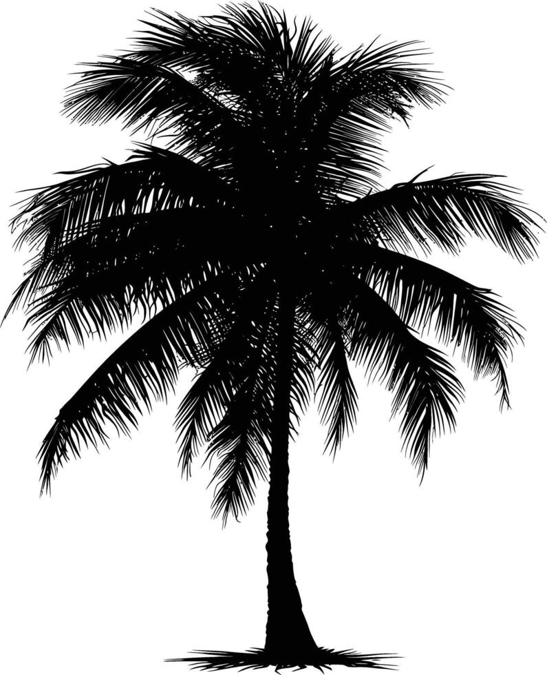 AI generated Silhouette coconut tree black color only vector