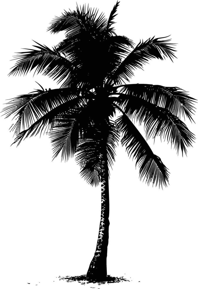 AI generated Silhouette coconut tree black color only vector