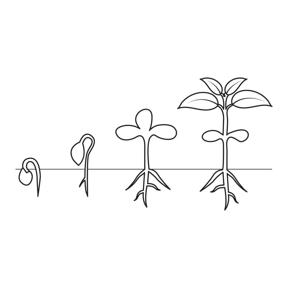 Continuous single line art of tree plant growth process illustration outline vector art.