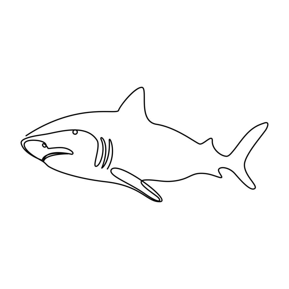 Continuous line art Hand drawn shark outline vector illustration