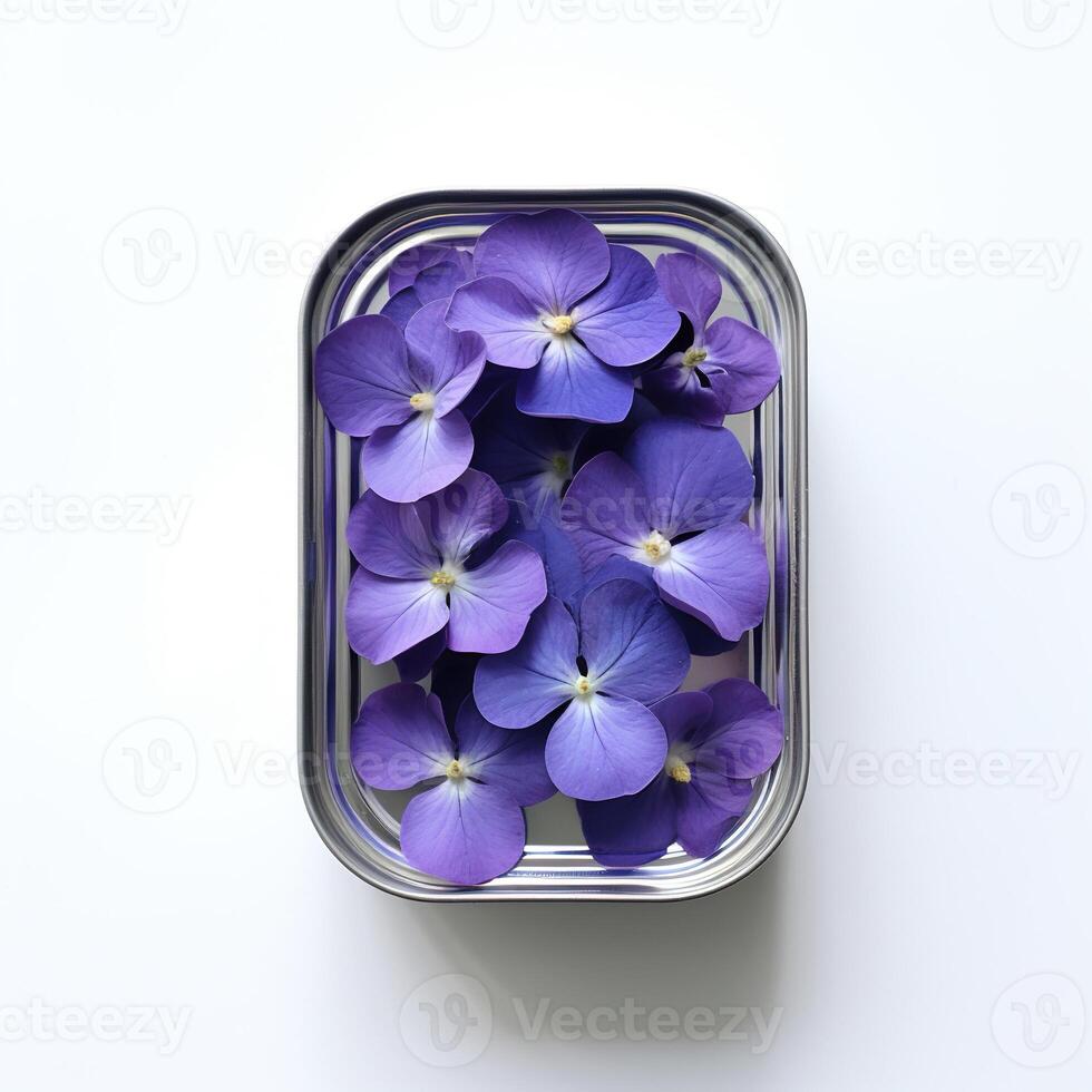 AI generated Blue hydrangea petals in a tin can on white background. Purple hydrangea petals in a metal box on white background. Can with blue violet on a white background, top view. photo