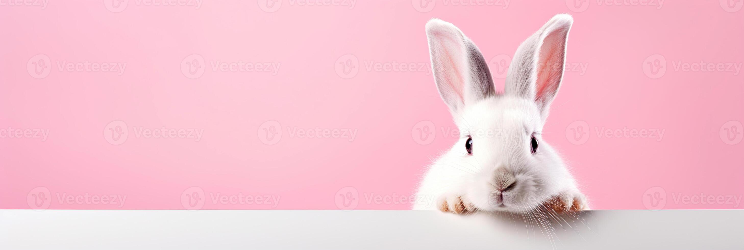 AI generated Cute white rabbit on a pink background. Place for text. photo