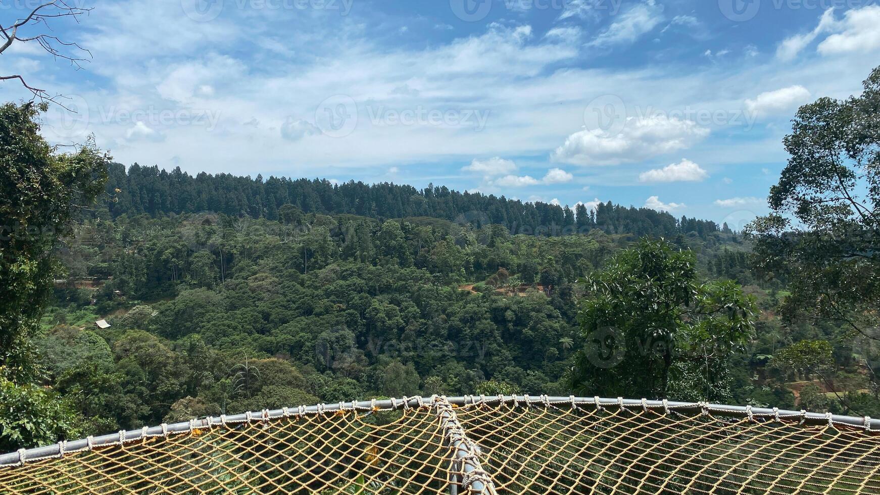 beautiful panoramic view in tropical forest with mountain and blue sky as a background photo