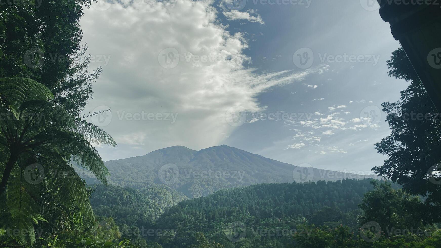 beautiful panoramic view in tropical forest with mountain and blue sky as a background photo