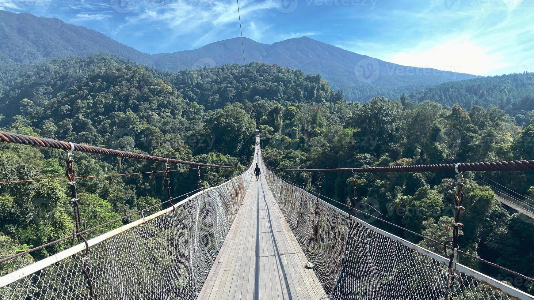 Bridge Rainforest Suspension bridge Crossing the river ferriage in the woods with mountain view photo