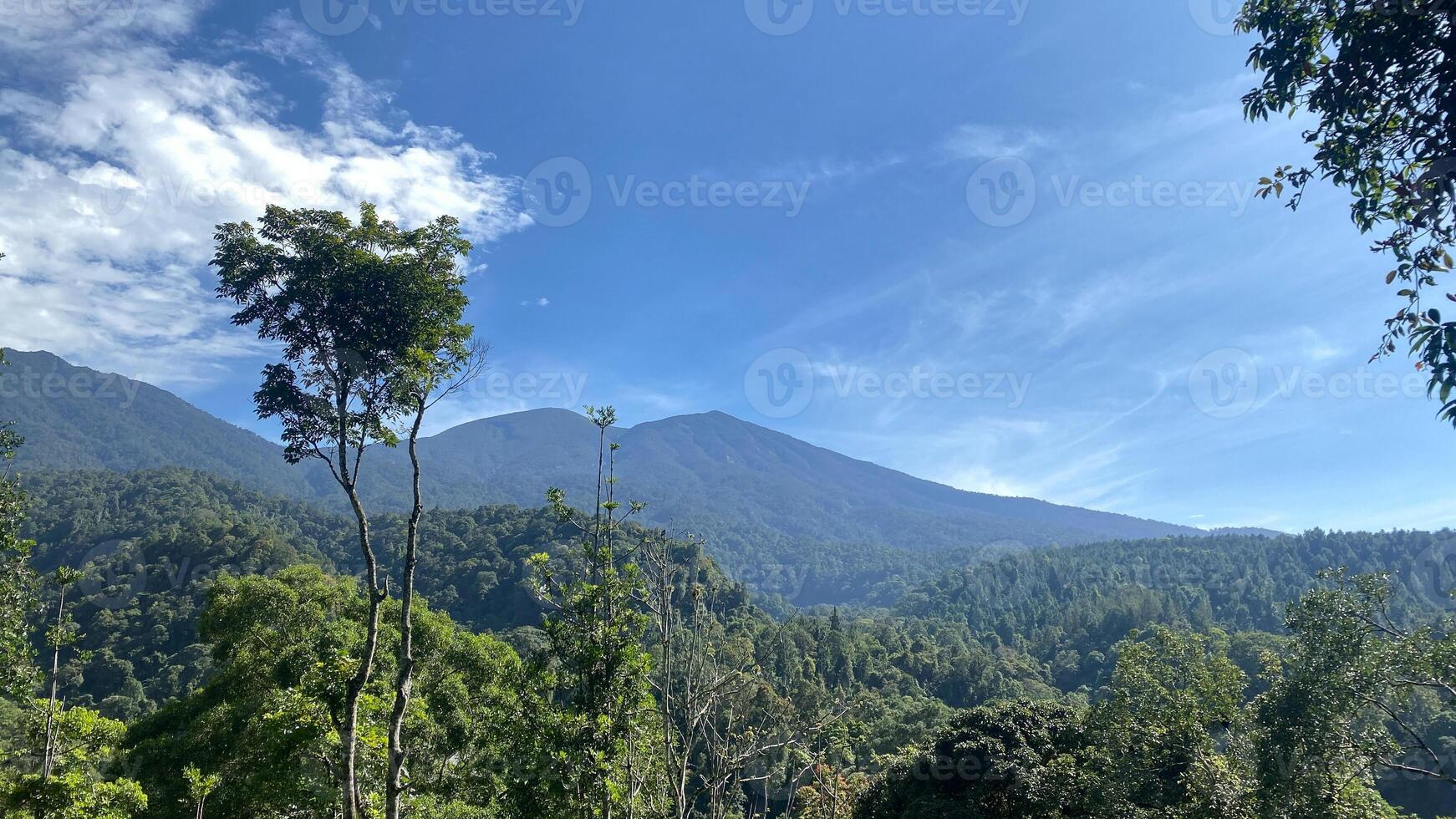 beautiful panoramic view in tropical forest with mountain and blue sky as a background photo