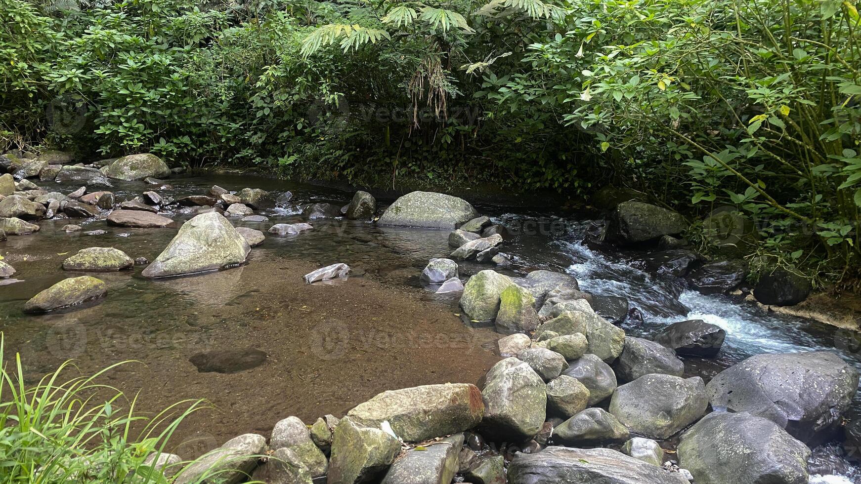 beautiful small stream in the middle of indonesia rainforest photo