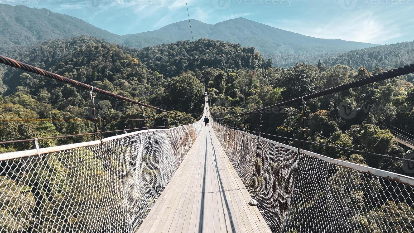 Bridge Rainforest Suspension bridge Crossing the river ferriage in the woods with mountain view photo