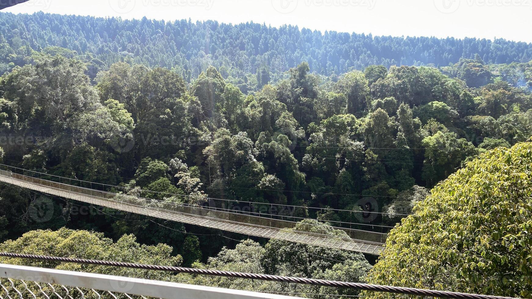 Bridge Rainforest Suspension bridge Crossing the river ferriage in the woods with mountain view photo