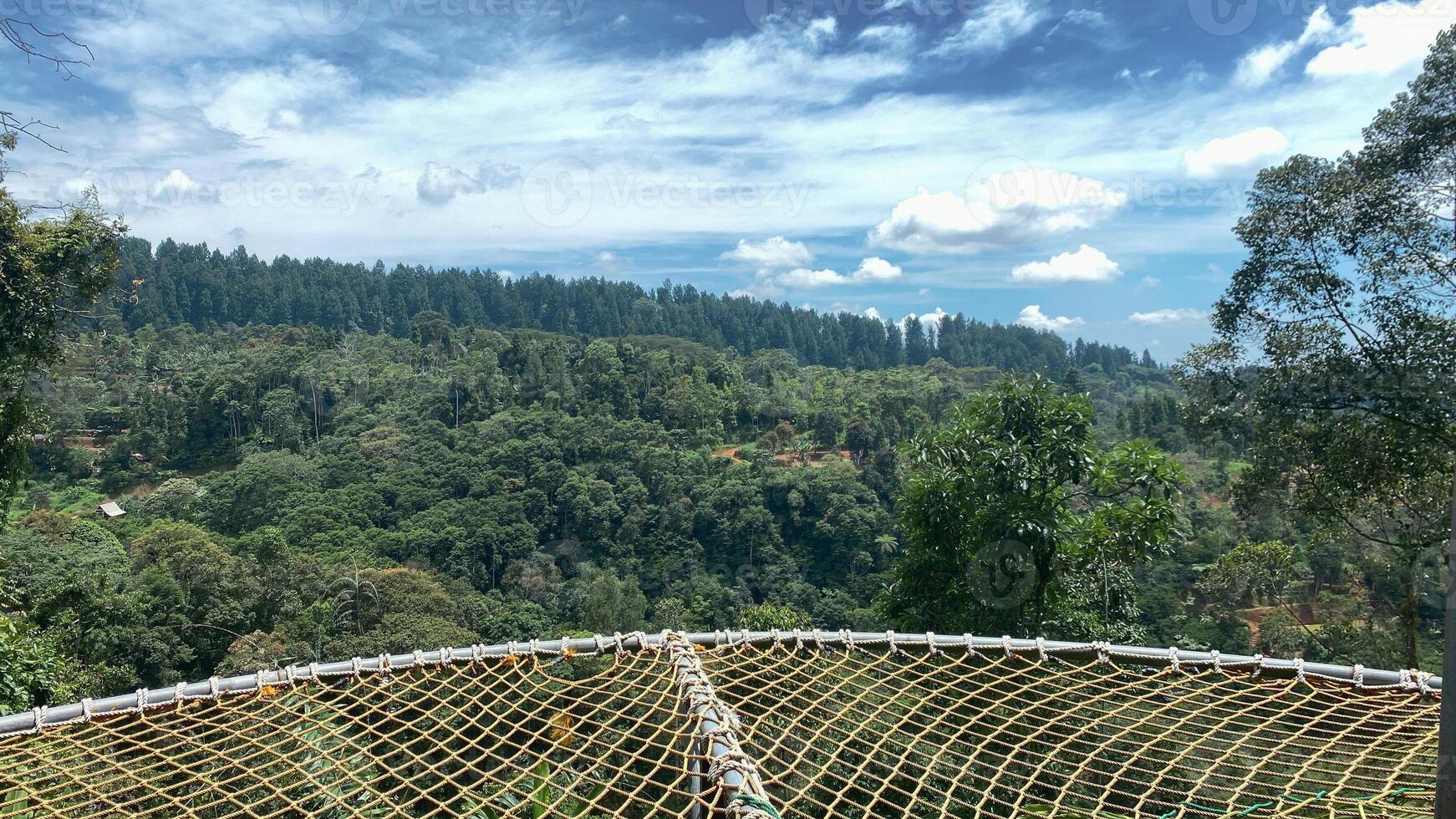 beautiful panoramic view in tropical forest with mountain and blue sky as a background photo