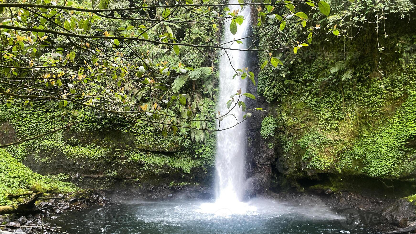 beautiful waterfall, named curug sawer in the middle of indonesia rainforest, asian forest hidden gem photo