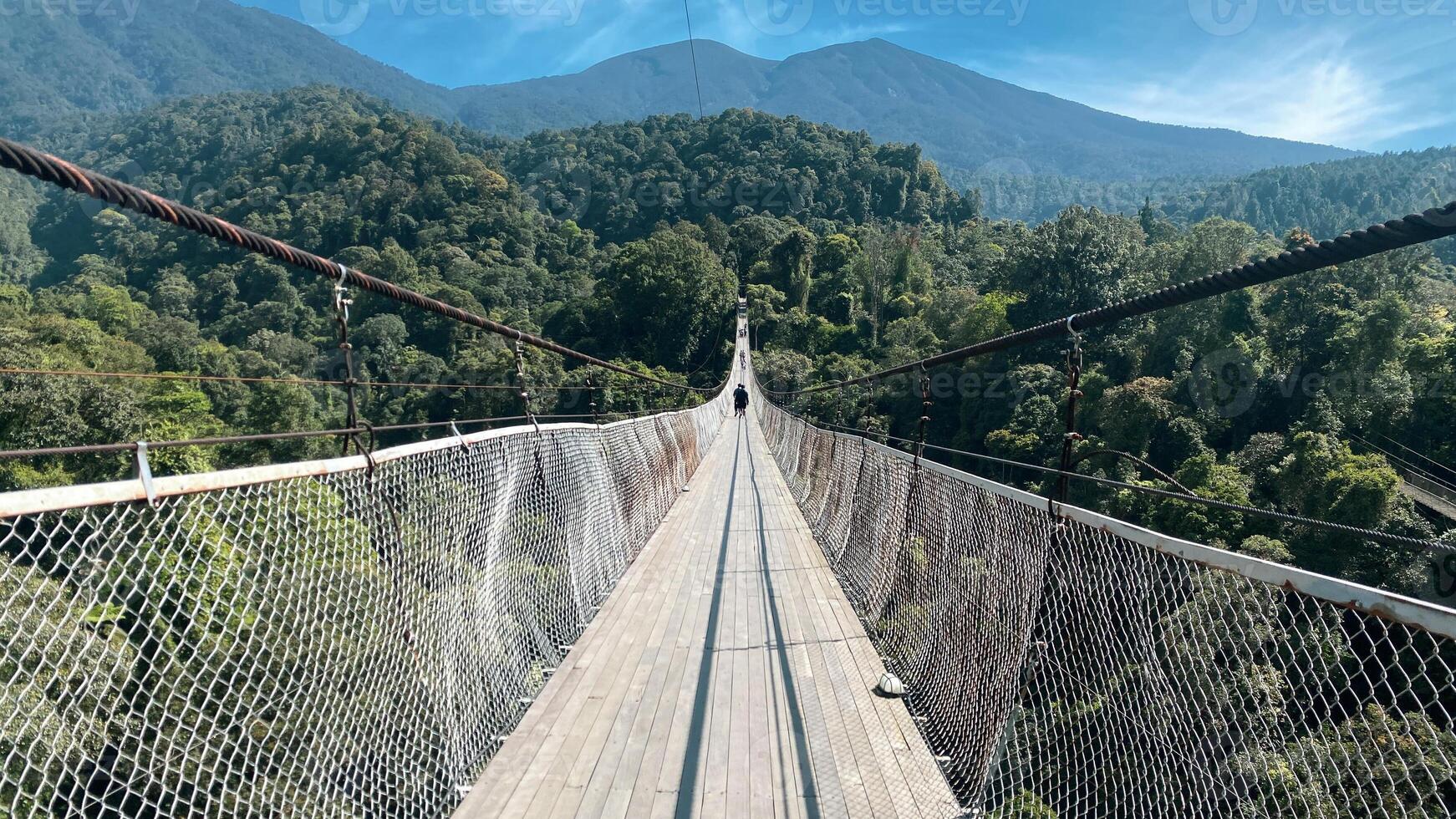 Bridge Rainforest Suspension bridge Crossing the river ferriage in the woods with mountain view photo