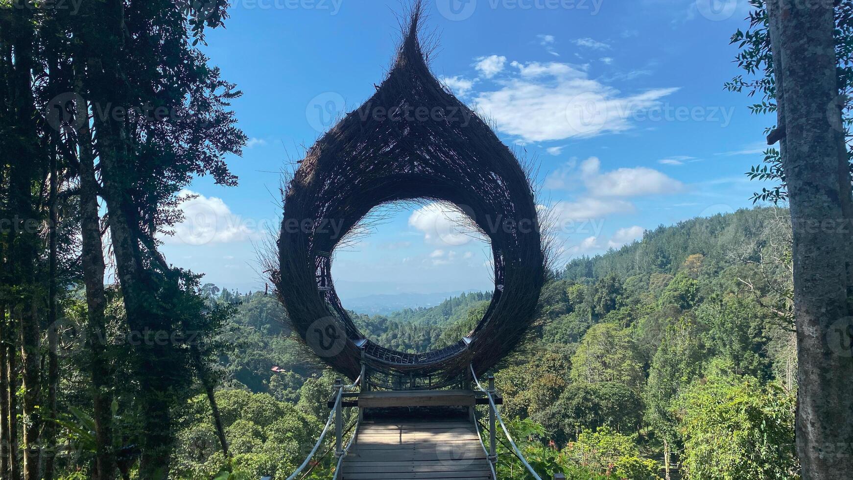 bird nest style photo booth in the middle of hills and jungle rainforest