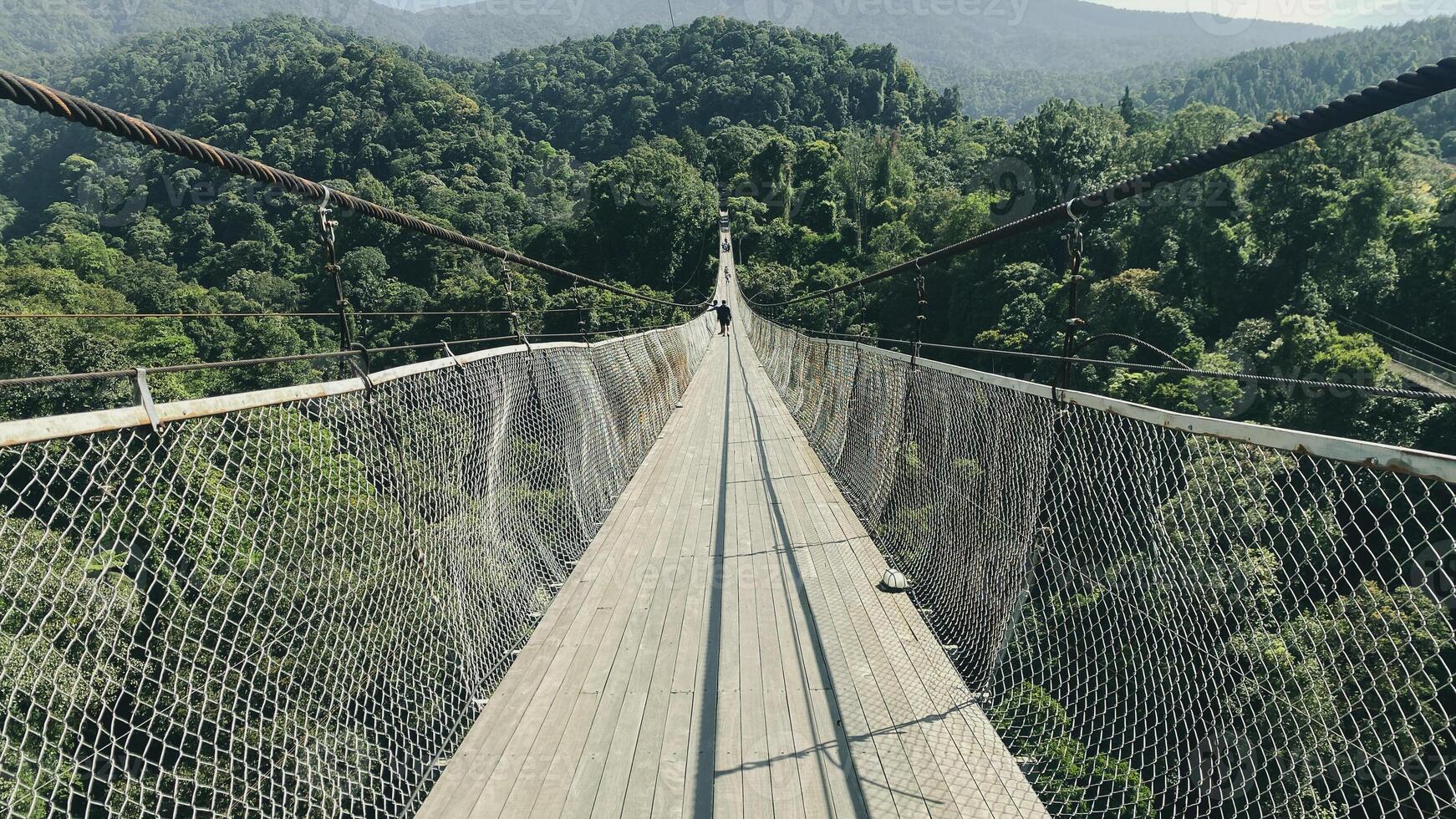 Bridge Rainforest Suspension bridge Crossing the river ferriage in the woods with mountain view photo