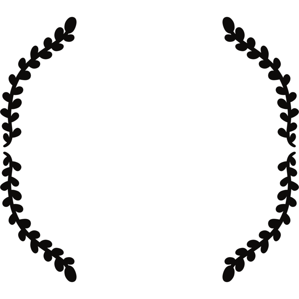 schwarz Kreis rahmen. Kranz Ring Grenze. isoliert mit transparent Hintergrund png