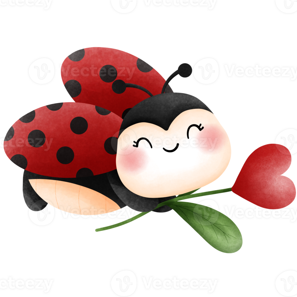 Happy ladybug with flower heart clipart, Love bug, Ladybird in love, Valentine animal lover Illustration. png