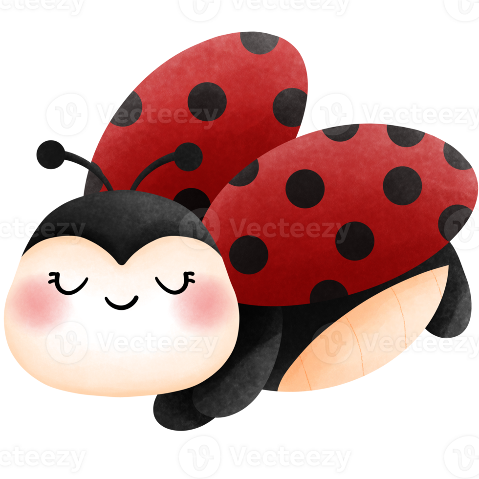 baby lieveheersbeestje waterverf clip art, vrolijk schattig dier illustratie. png