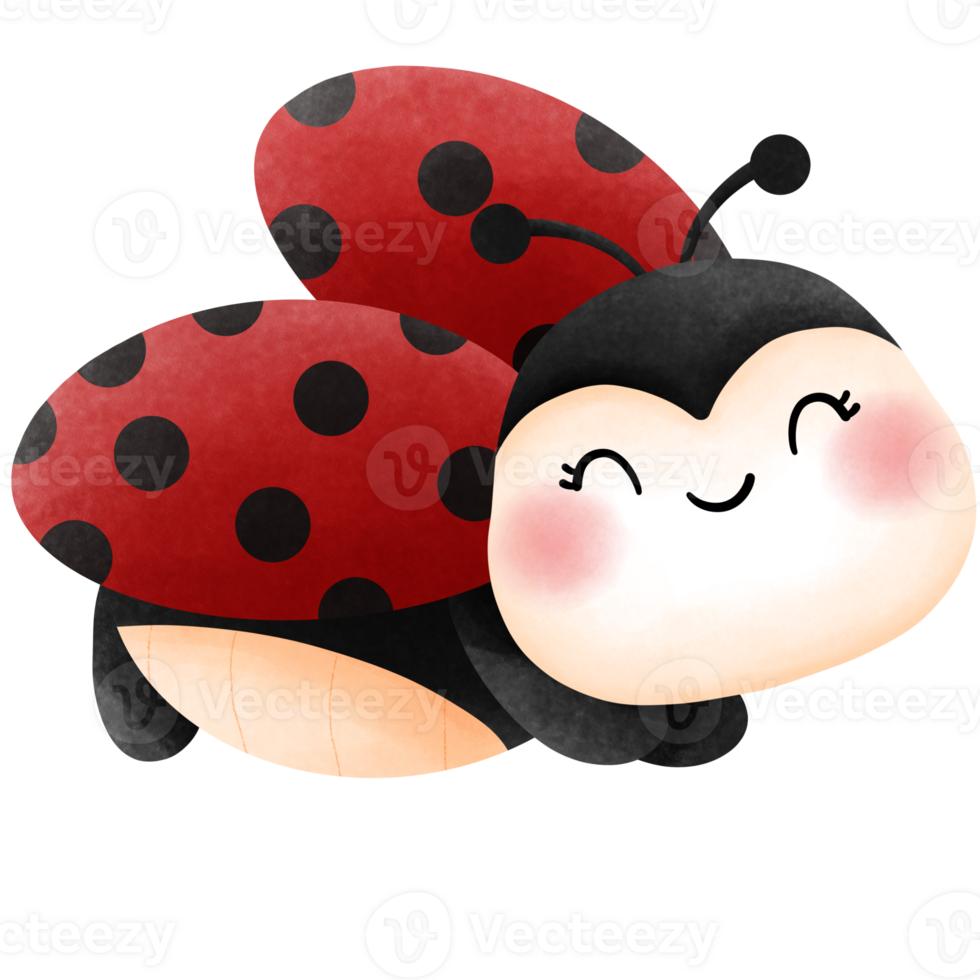 Happy baby ladybug flying watercolor clipart, Adorable cute insect illustration, Love bug. png