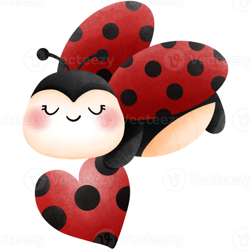 Adorable ladybug with red and black heart clipart, Watercolor valentine animal lovers illustration. png