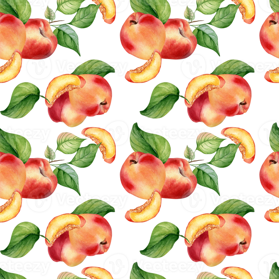 Fresh nectarines whole and half watercolor seamless pattern. Ripe fruits peach and leaves. Apricot hand drawn. Design element for package, textile, wrapping paper, fabric. png