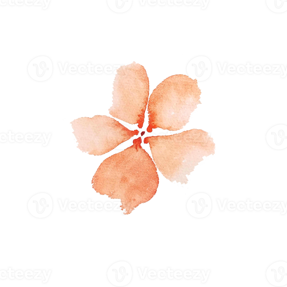 watercolor simple peach flowers png