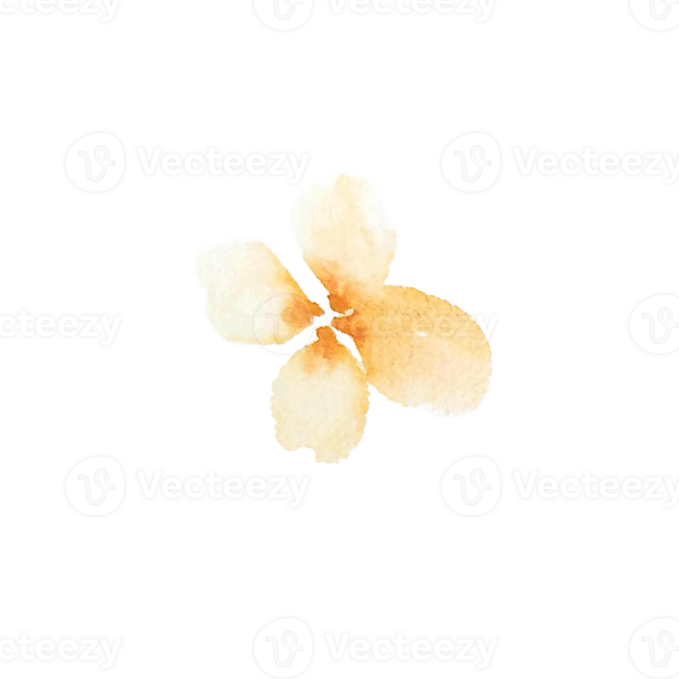 watercolor simple peach flowers png