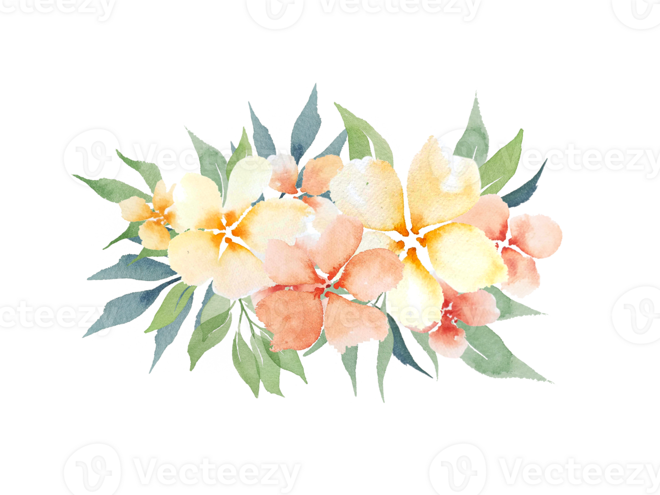 watercolor simple peach flowers png