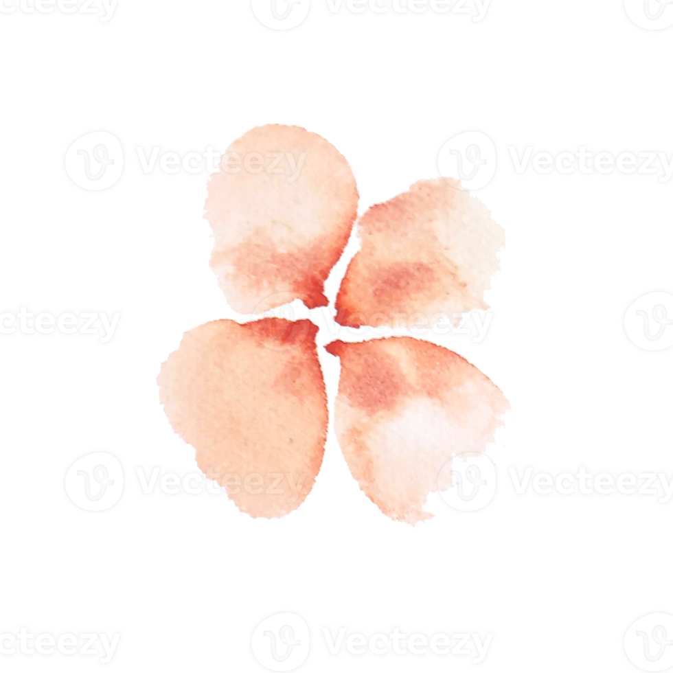 watercolor simple peach flowers png