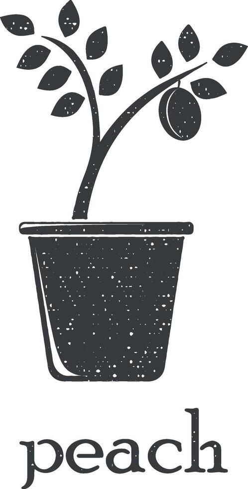 melocotón árbol en maceta vector icono ilustración con sello efecto