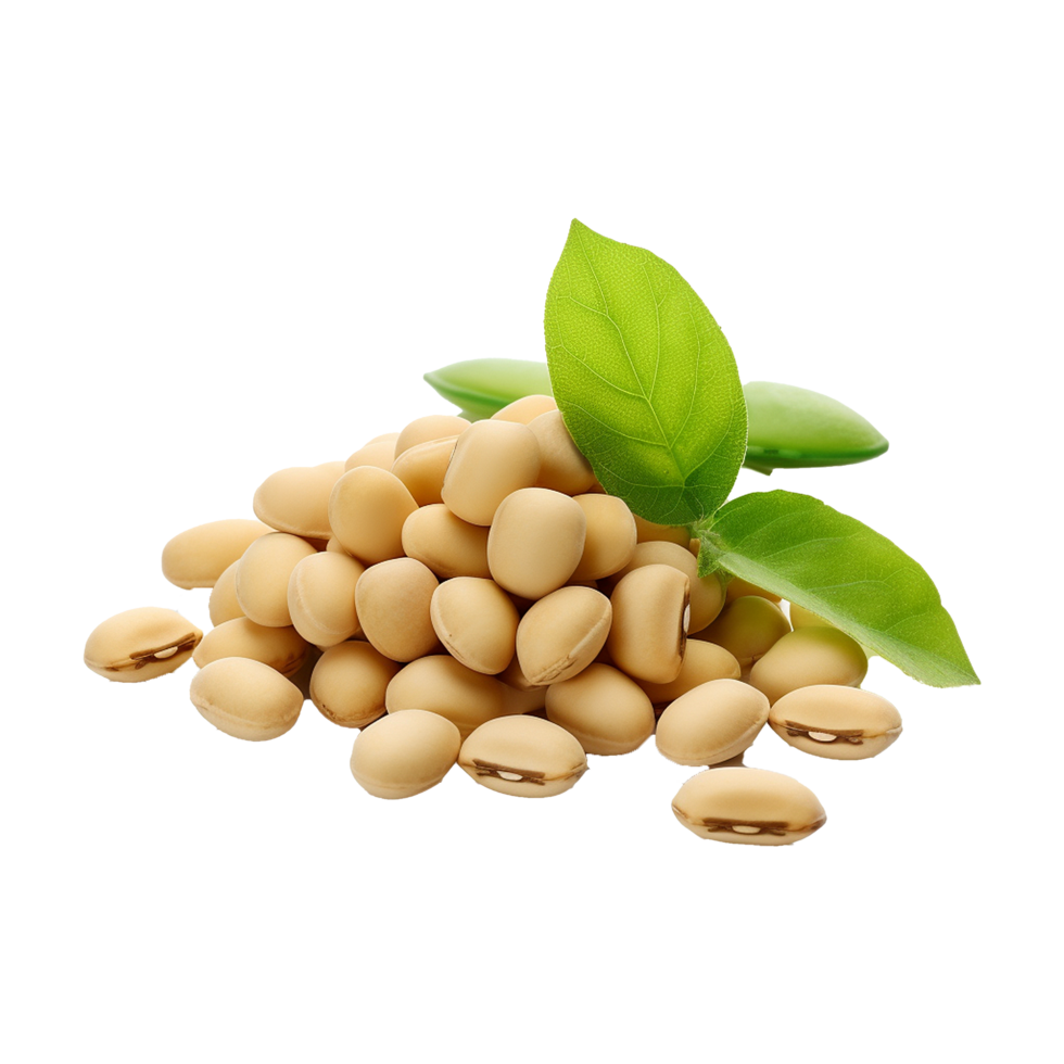 AI generated Soya beans isolated on transparent background png