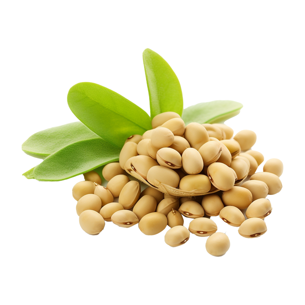 AI generated Soya beans isolated on transparent background png