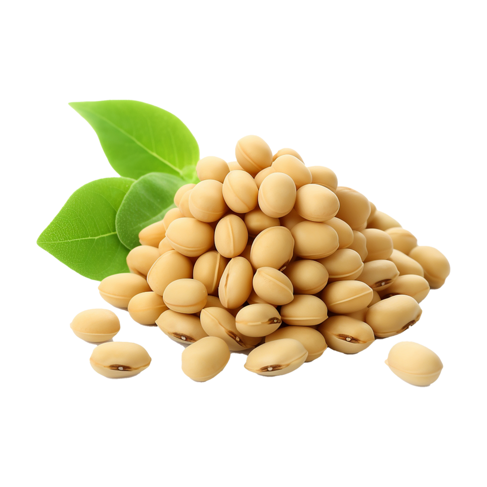 AI generated Soya beans isolated on transparent background png