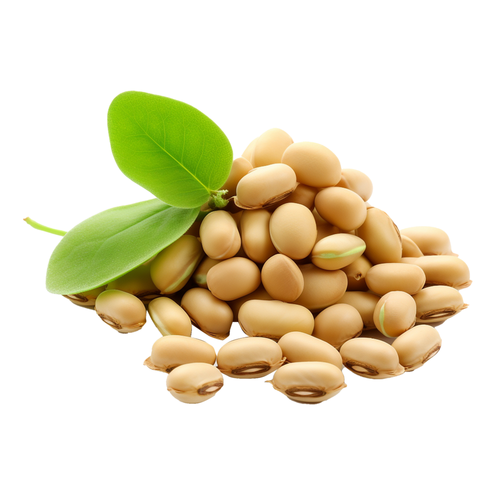 AI generated Soya beans isolated on transparent background png