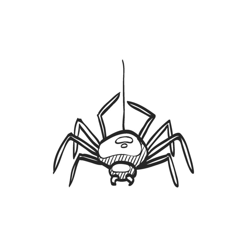 Hand drawn sketch icon spider vector