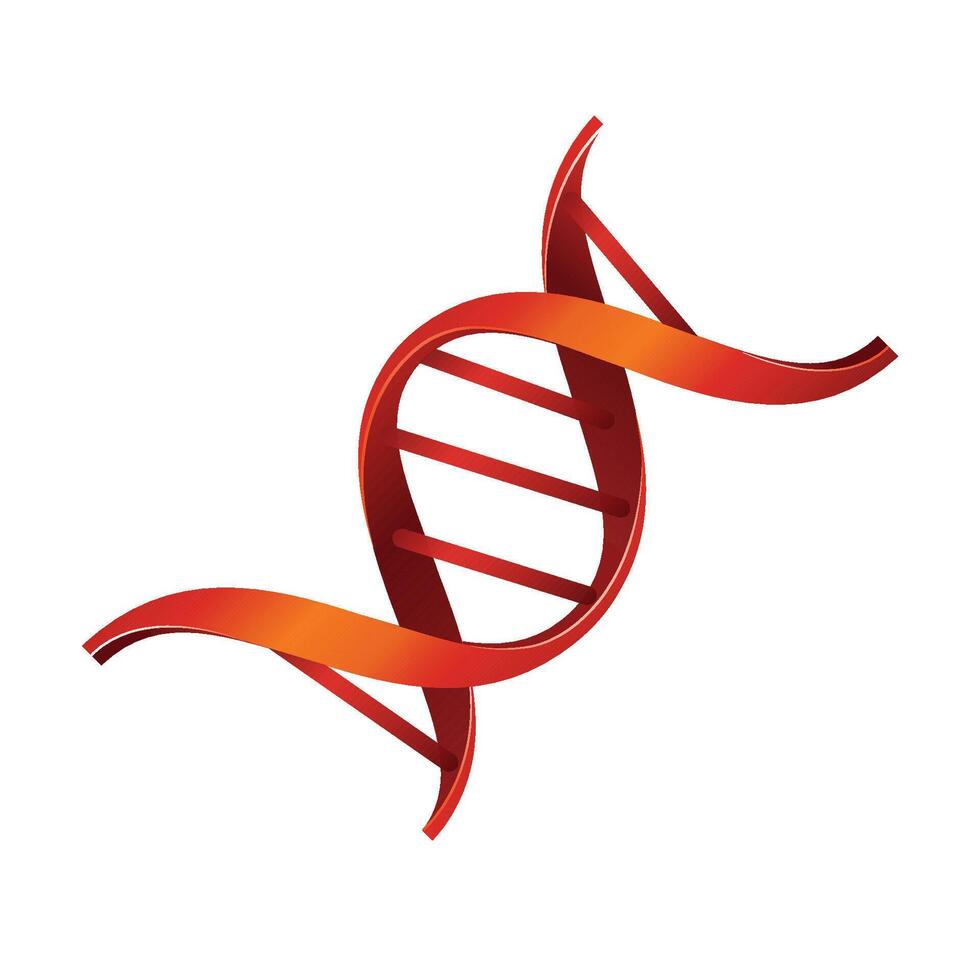 DNA strands icon in color. Science biology chromosome vector