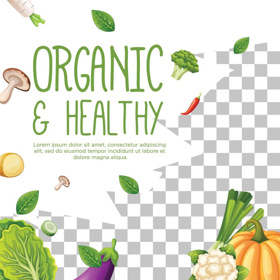 Post template for vegetarian or organic product vector