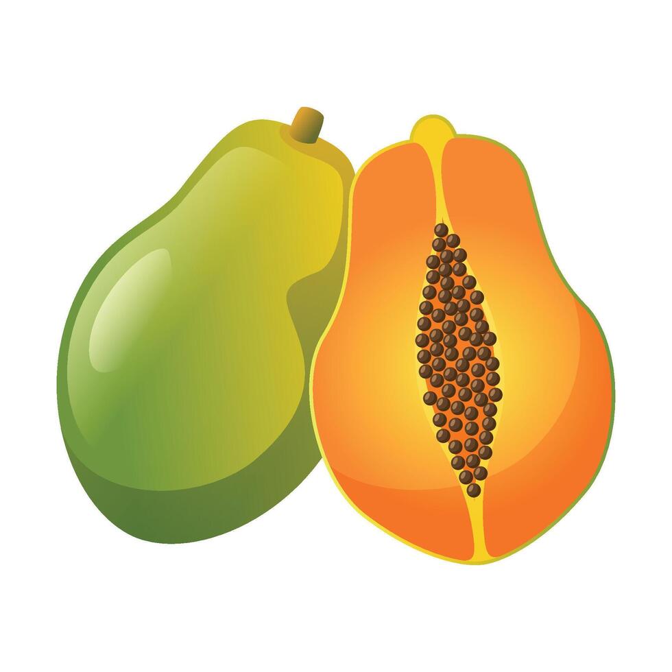 Papaya fruit icon design. Fresh fruit vector