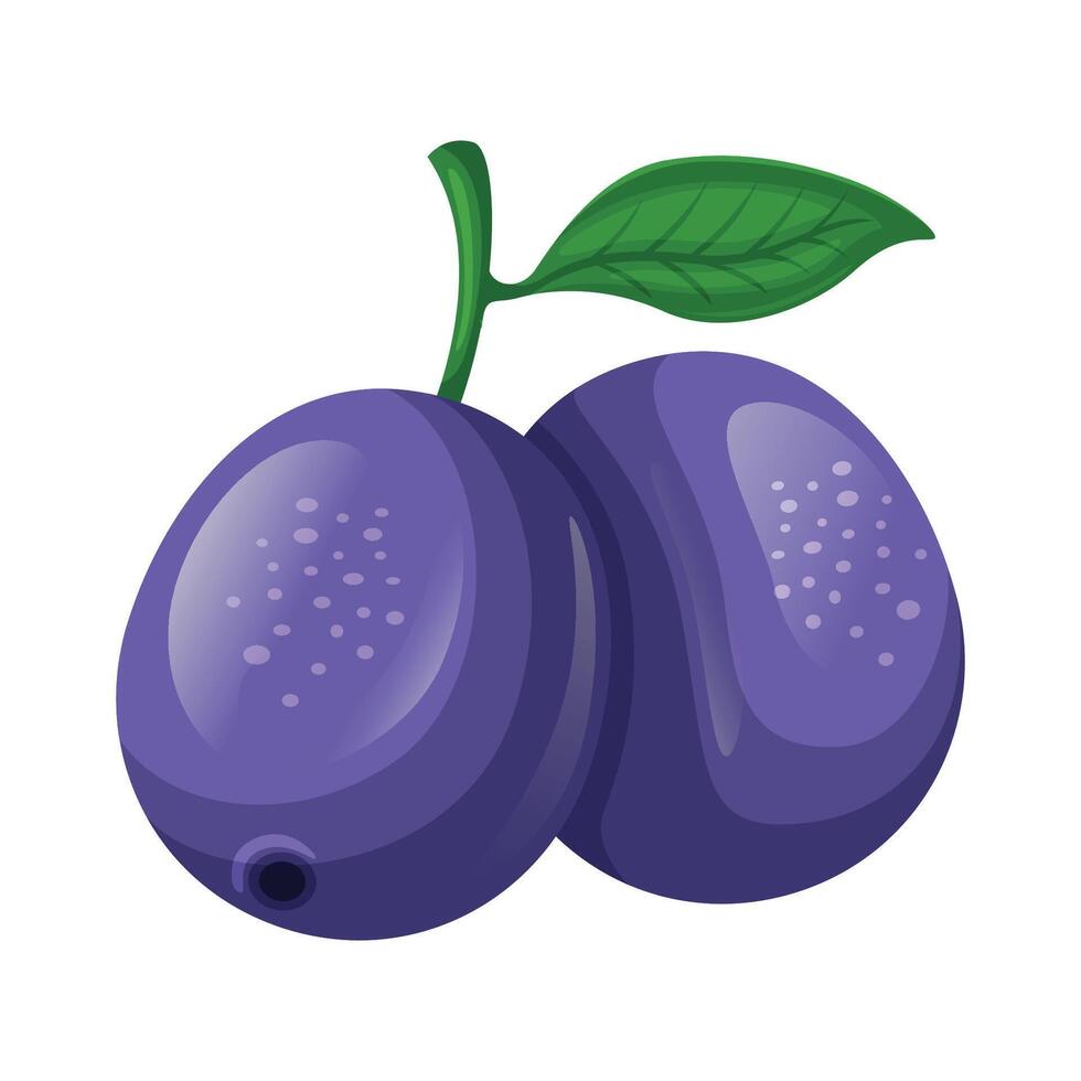 Blueberry fruit icon design. Fresh fruit vector