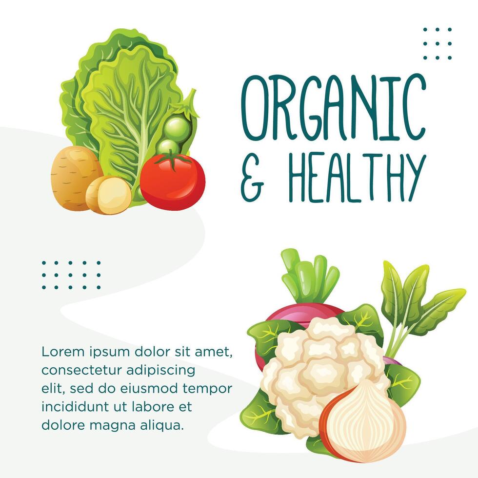 Organic and healthy food template social media post design vector