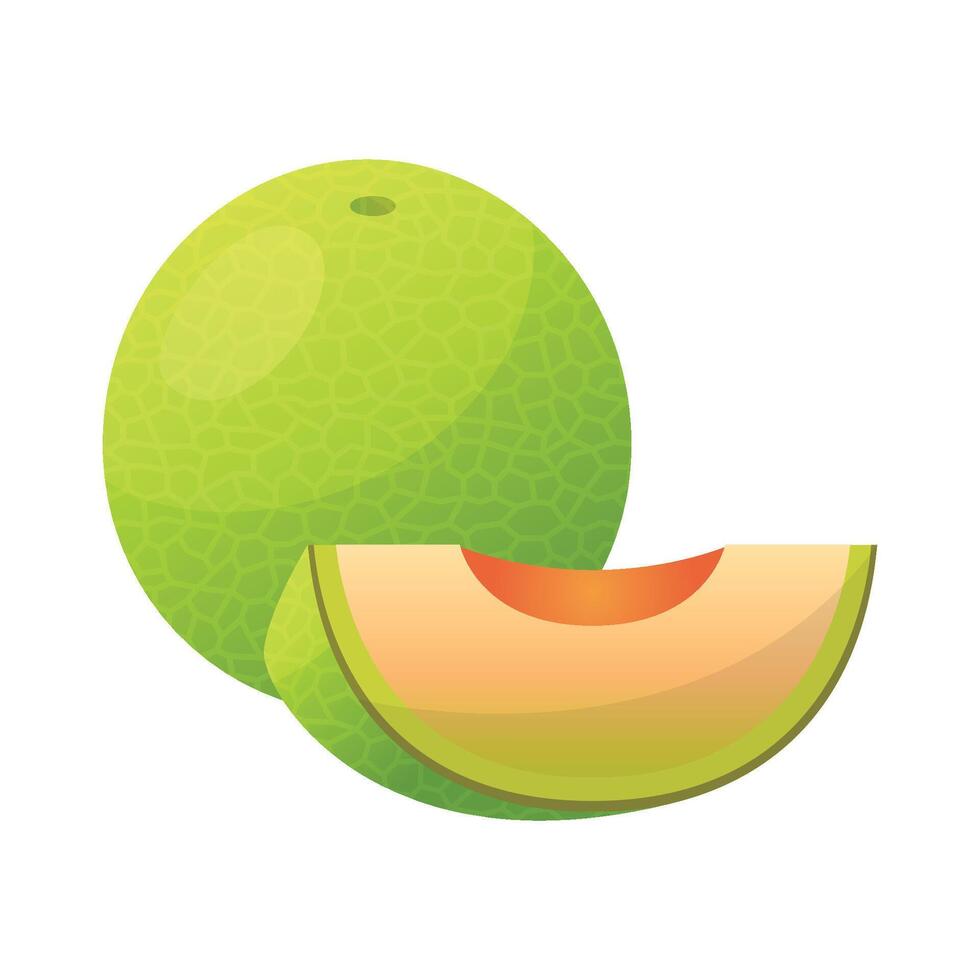 Melon fruit icon design. Fresh fruit vector