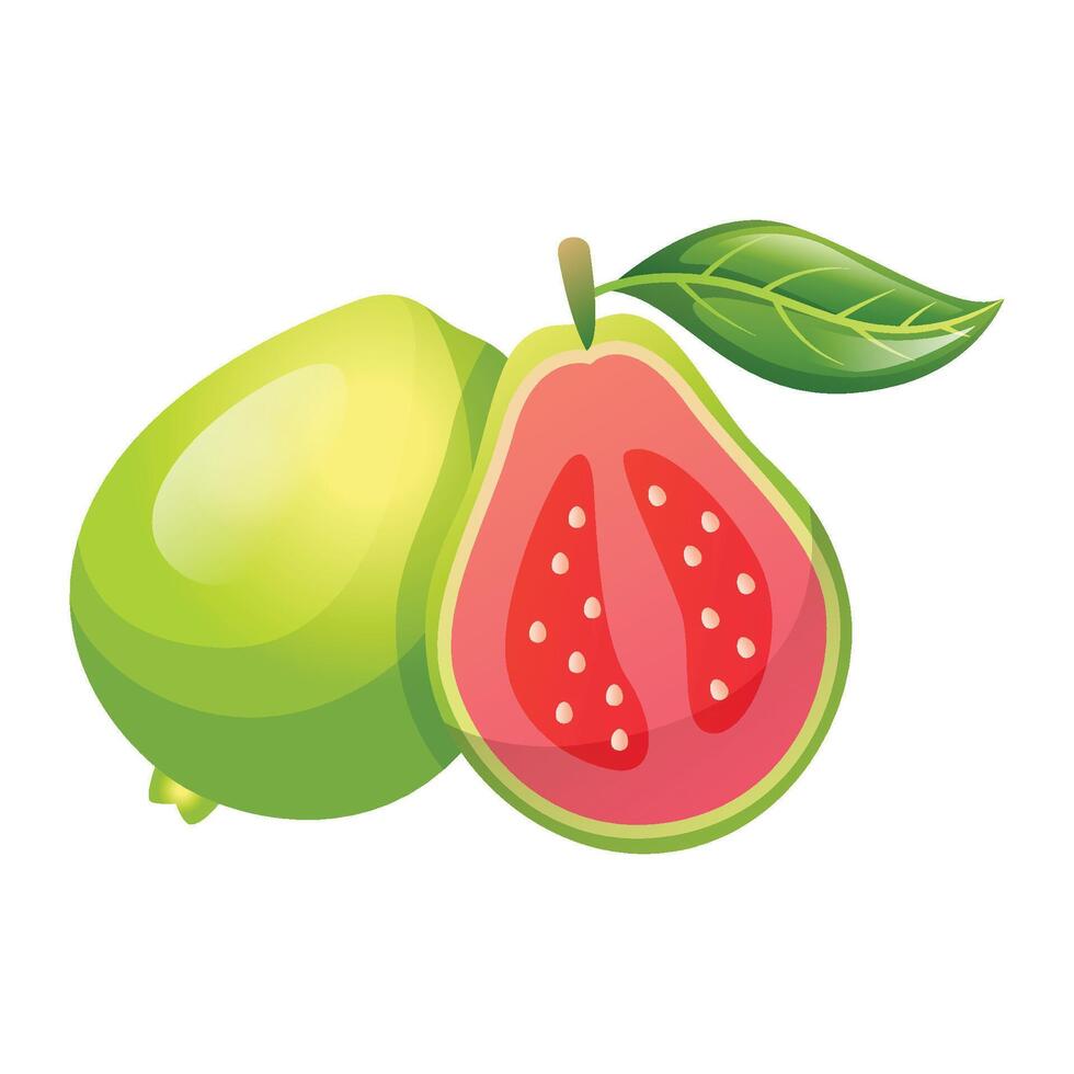 Guava fruit icon design. Fresh fruit vector