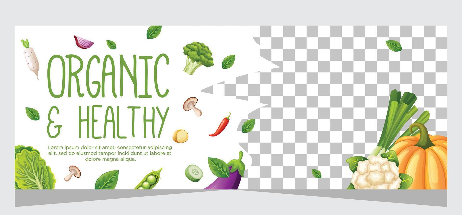 Horizontal banner template for vegetarian vector