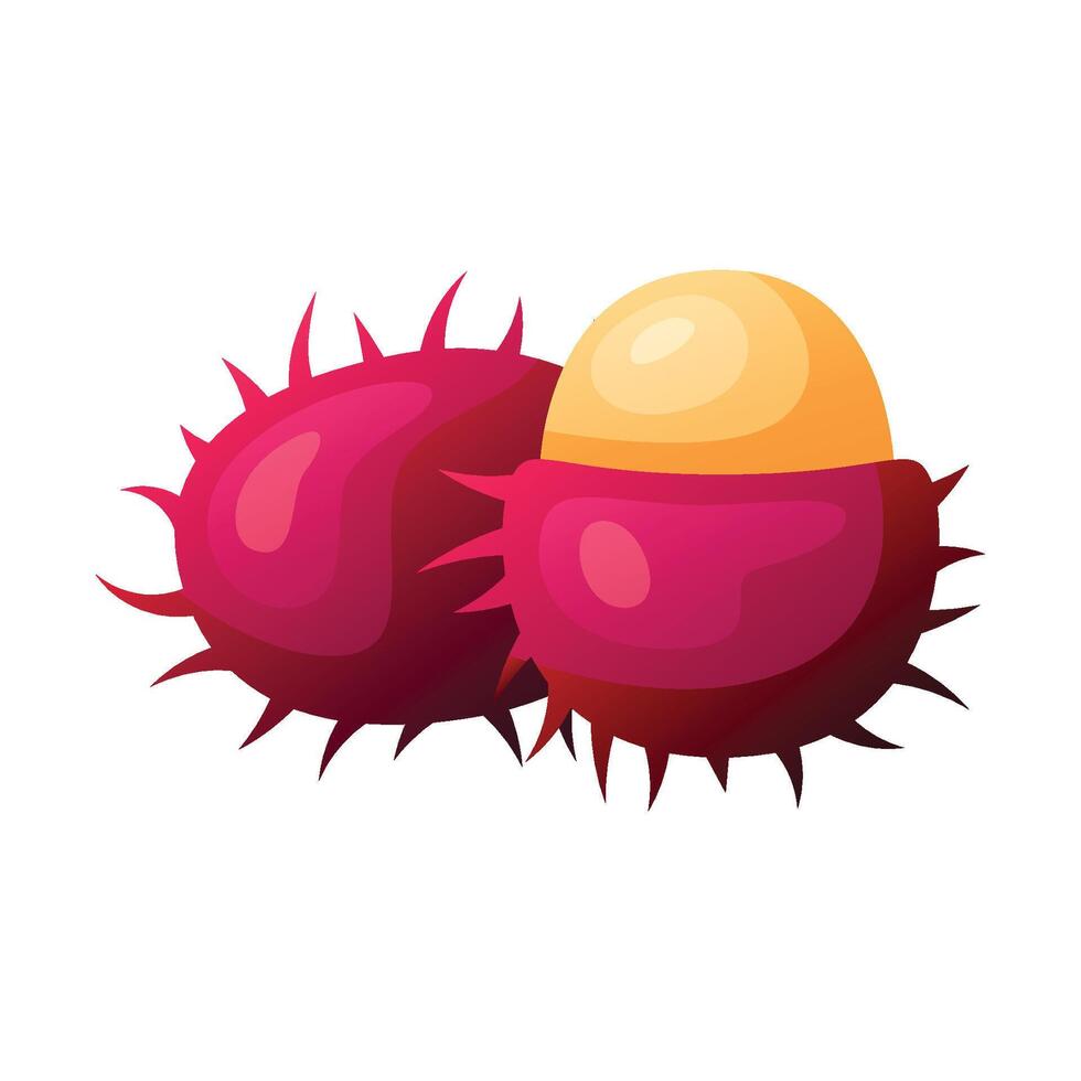 Rambutan fruit icon design. Fresh fruit vector