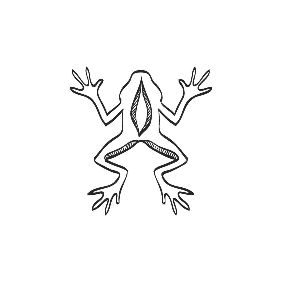 Hand drawn sketch icon lab frog vector